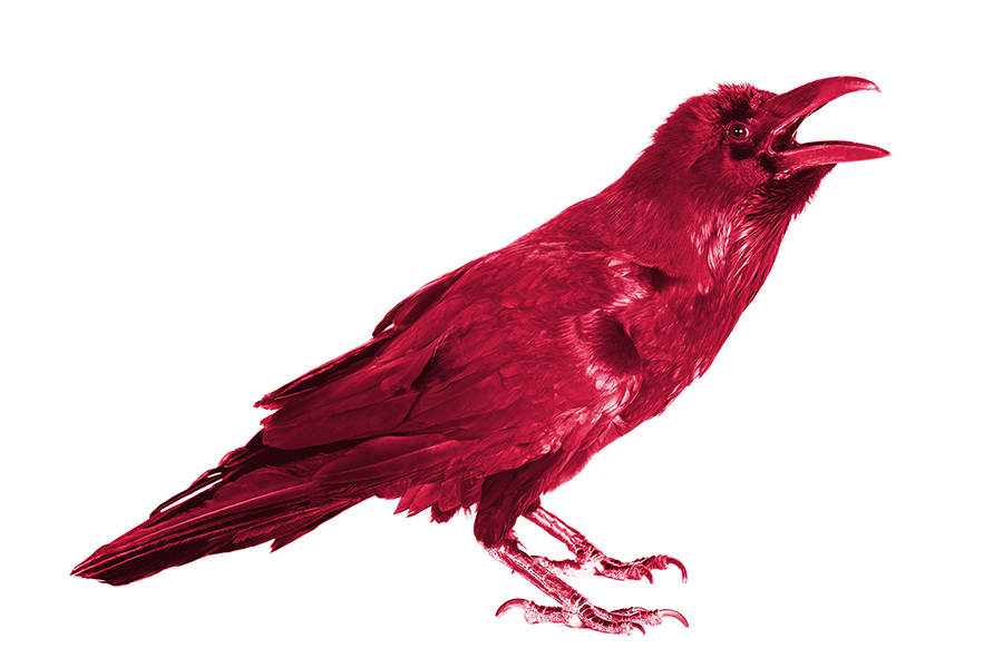 A red illustration of a small bird on white background