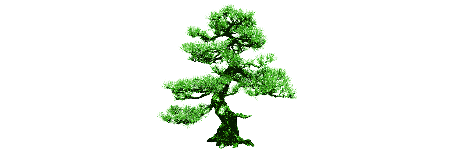 A green illustration of a tree