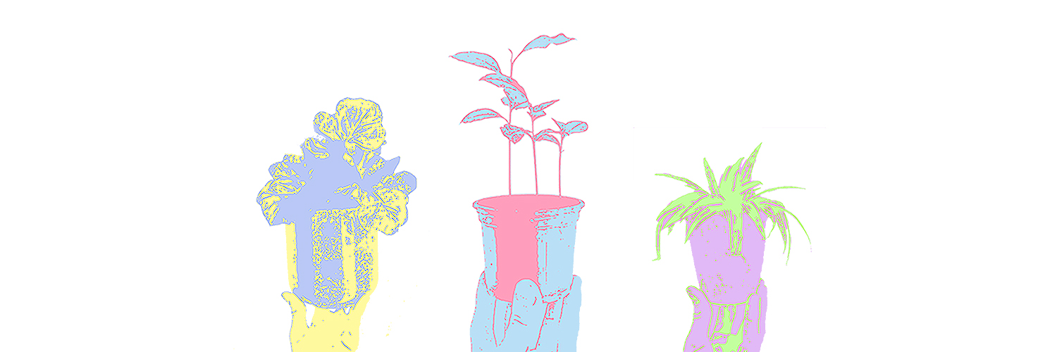 A colourful thin-line illustration of three plant pots held up by three hands on a white background
