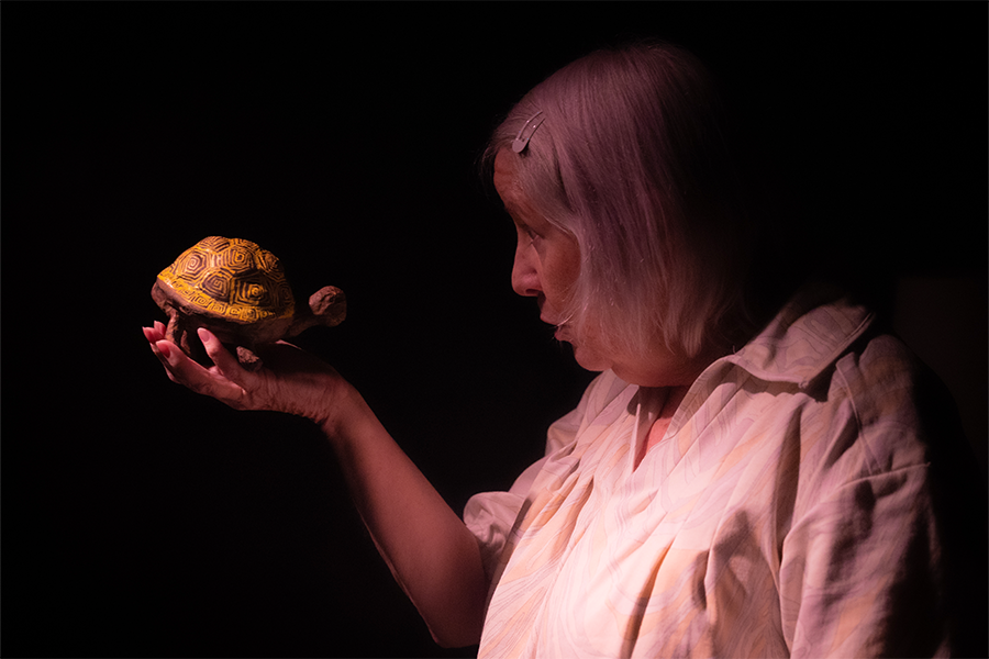 An older woman dressed in a nightgown is talking to a tortoise in her hand