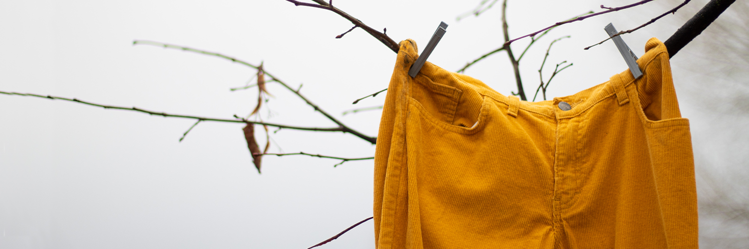 A pair of yellow trousers hanging from a leafless tree against a grey sky