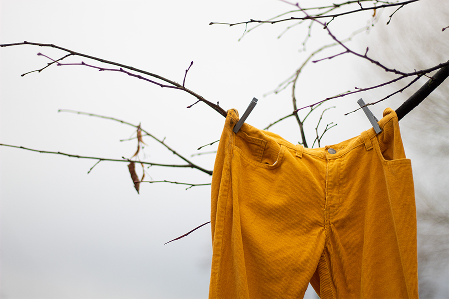 Yellow trousers hanging on a tree outside