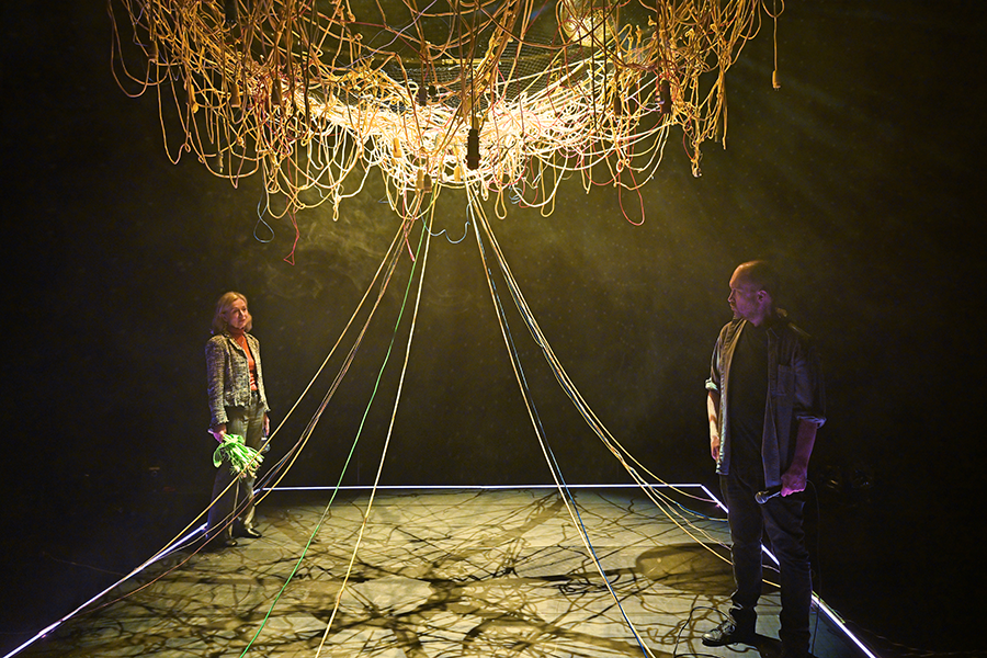 A man and woman stand on stage beneath a structure made of cables and wires which hang from the ceiling. Some of the wires trail down to the stage. The structure is lite up, creating shadows on the floor of the stage. The woman is holding a bunch of flowers.